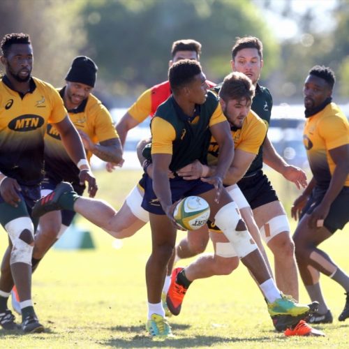 Kolisi: Damian offers something different