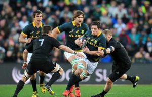 Read more about the article New-look Springbok back row taking shape