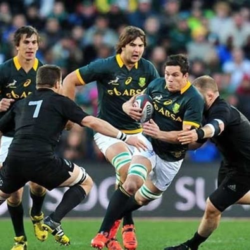 New-look Springbok back row taking shape