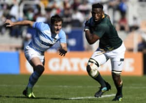 Read more about the article Springboks drop, Pumas rise in rankings