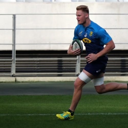 Du Preez blow for Sharks, Springboks