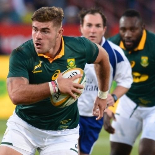 Five Springboks to watch