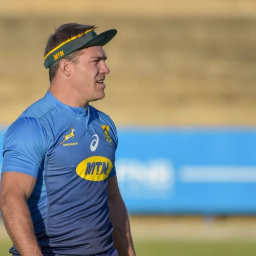 Erasmus: Brits still in Bok mix