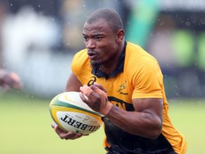 Read more about the article Mapimpi, Willemse set for aerial test
