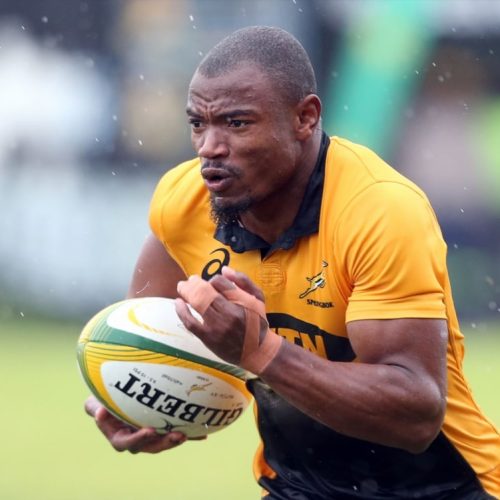 Mapimpi, Willemse set for aerial test