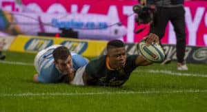 Read more about the article Preview: Argentina vs Springboks