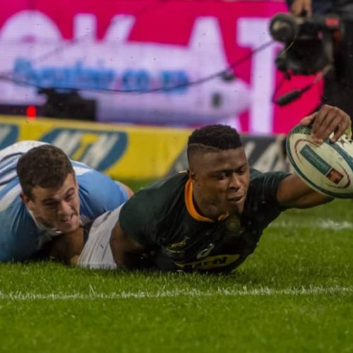 Preview: Argentina vs Springboks