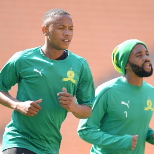 Five best PSL signingings (Part 1)