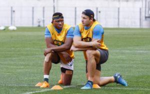 Read more about the article Springboks building midfield capacity