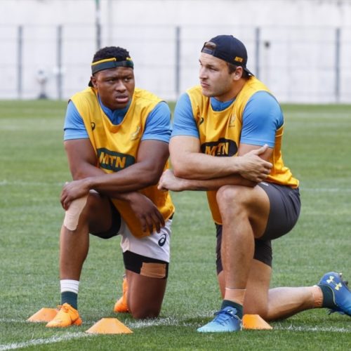 Springboks building midfield capacity