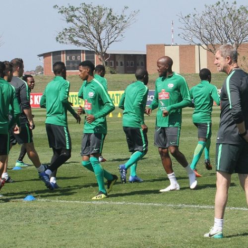 Bafana announce squad for Afcon, Cosafa Cup
