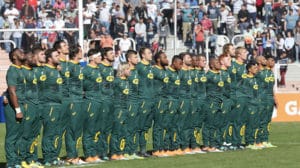 Read more about the article Cosatu: Rassie’s Bok team ‘too white’