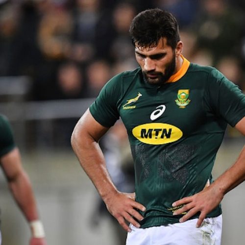 Springboks suffer injury blows