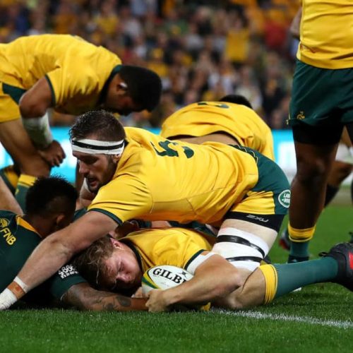 Wallabies compound Bok pain