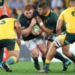 Kitshoff – Springboks