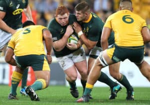 Read more about the article Belligerent Springboks must follow through