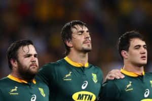 Read more about the article 14 Springbok stats and facts