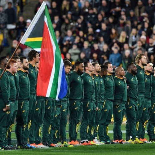 18 Springbok stats and facts