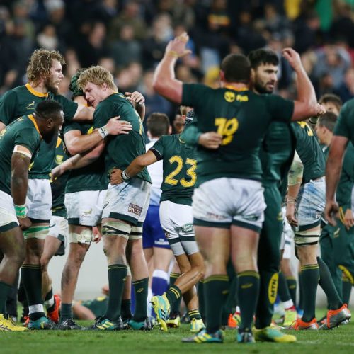 Springboks rise in world rankings