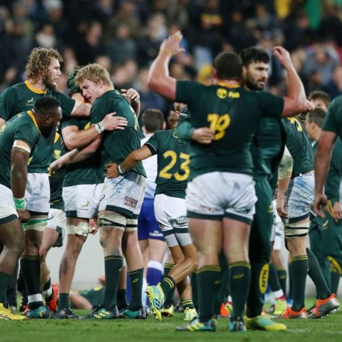 Kolisi: Springboks backed each other