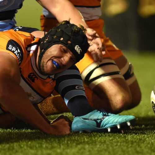 Cheetahs blow it against Cardiff Blues