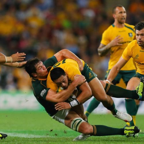 Springboks seek spirit of 2013