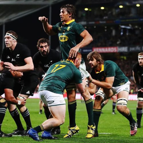 Springboks to target All Blacks lineout