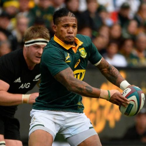 Jantjies has Bok backing