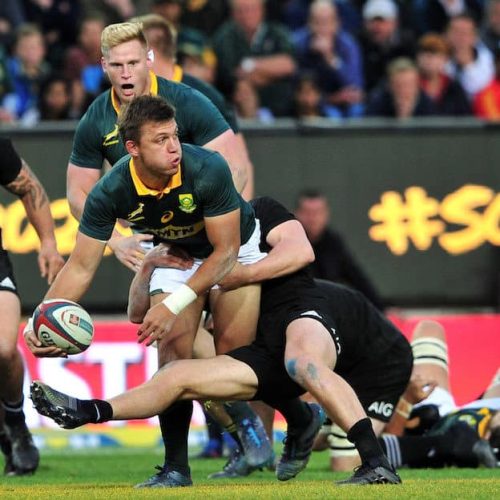 Springboks to bulk up for All Blacks