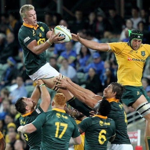 Three Bok selection considerations