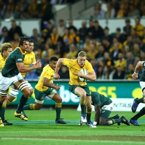 Wallabies wary of Bok defence