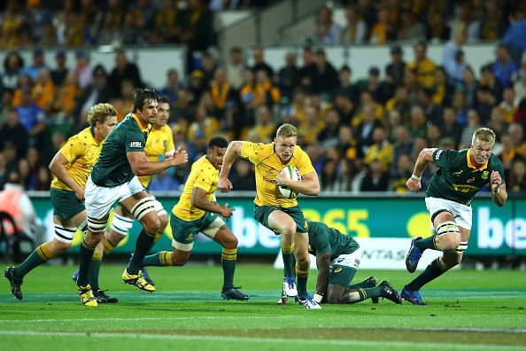 You are currently viewing Wallabies wary of Bok defence