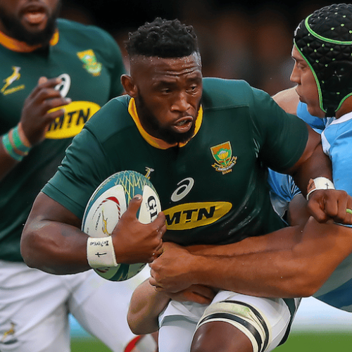 Kolisi: I’m not scared to learn