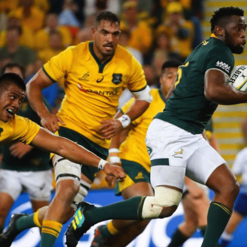 Kolisi: Boks focused on Aussie scalp