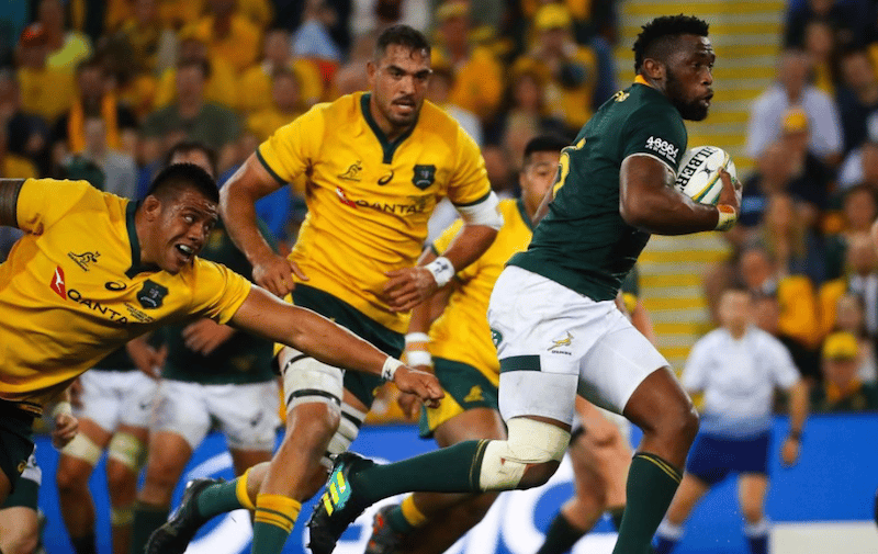 You are currently viewing Kolisi: Boks focused on Aussie scalp