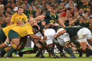 Read more about the article Erasmus: Boks, Wallabies will be desperate