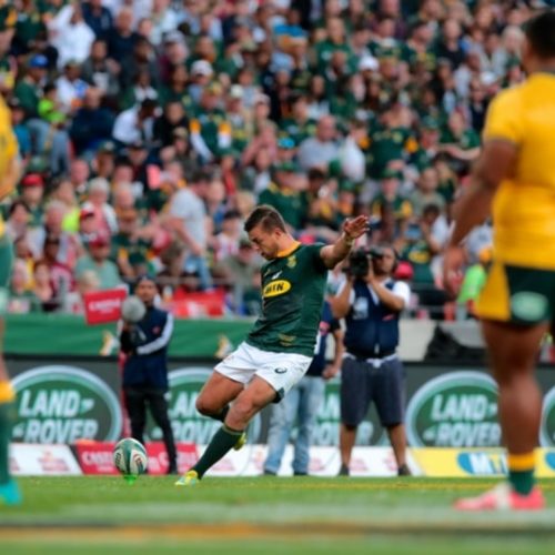 Bok brain game in spotlight