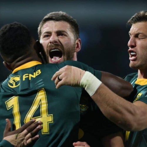 Le Roux: I never want to let Bok jersey go