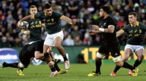 Read more about the article De Allende to return for Springboks