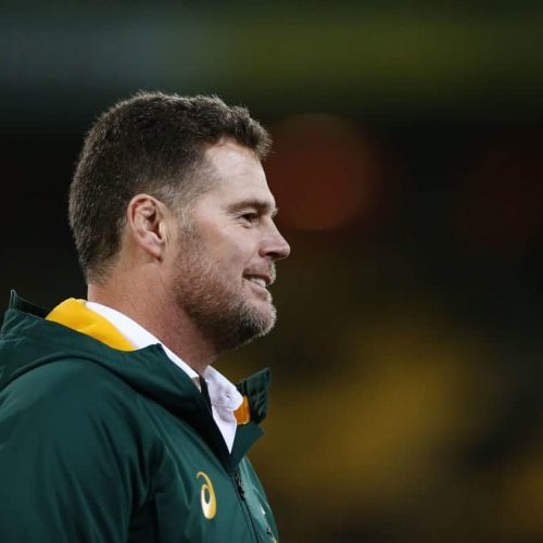 Erasmus assists in appointing Bulls coach