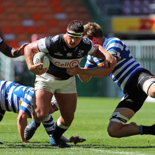 Sharks set for scrum battle