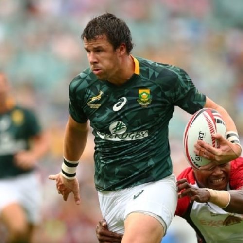 Powell: Nel deserved Bok call-up