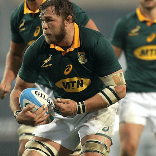 Vermeulen officially joins Bulls