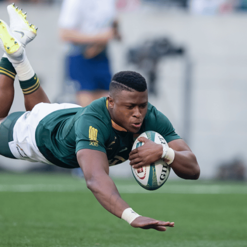 Springboks stay fifth in World Rankings