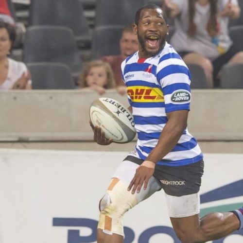 Three new caps in Springbok squad