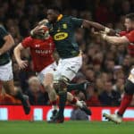 Springboks