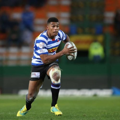 WP not worried about Bok disruption