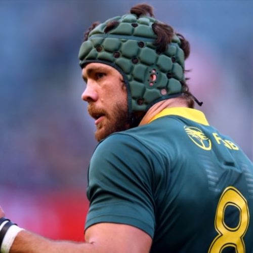 Springboks wait on Whiteley