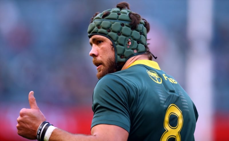 You are currently viewing Springboks wait on Whiteley