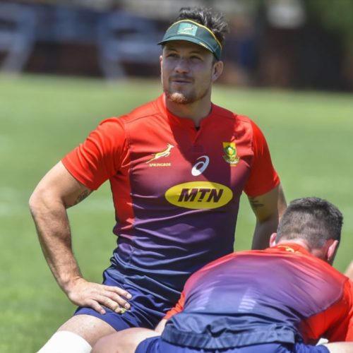 Springboks must run own race at Loftus